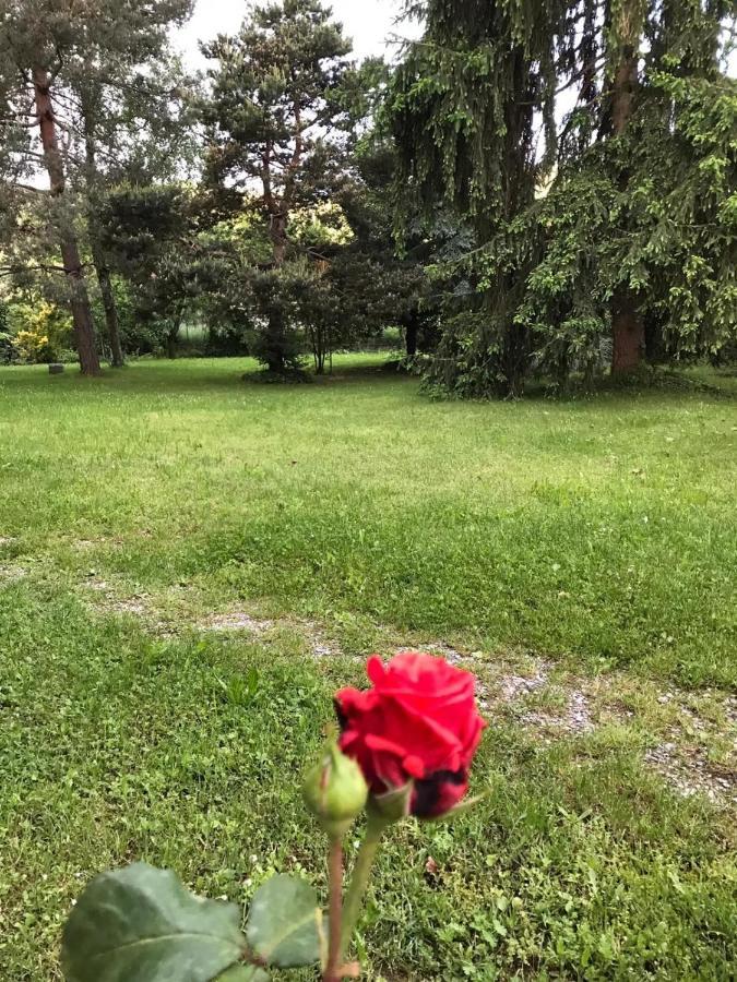 Valleverde Caraglio Εξωτερικό φωτογραφία