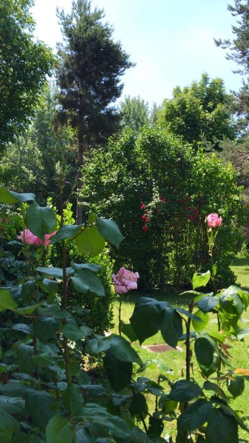 Valleverde Caraglio Εξωτερικό φωτογραφία
